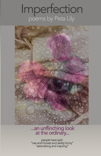 Imperfection An Unflinching Look at the Ordinary - Poems