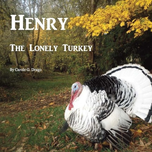 Henry The Lonely Turkey
