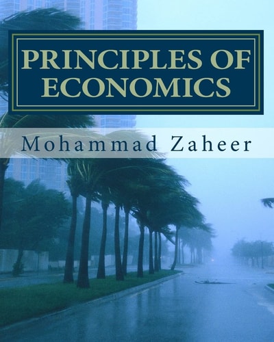 Principles of Economics Made Simple and Easy