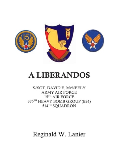 A Liberandos S/Sgt. David E. McNeely, Army Air Force, 15th Air Force, 376th Heavy Bomb Group, 514th Squadron