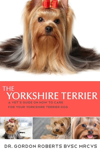 The Yorkshire Terrier A Vet's Guide on How to Care for Your Yorkshire Terrier Dog