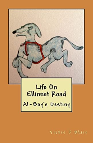 Life On Ellinnet Road Al-Boy's Destiny