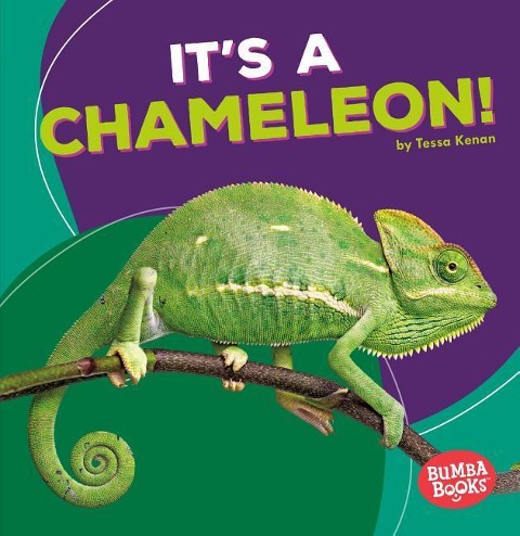 Its a Chameleon!