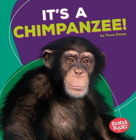 Its a Chimpanzee!