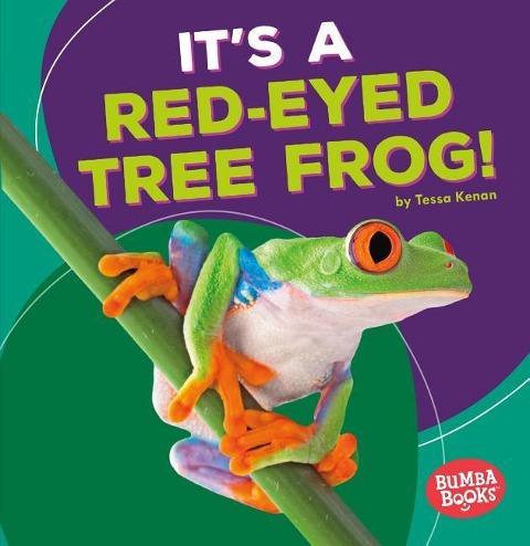 Its a Red-Eyed Tree Frog!