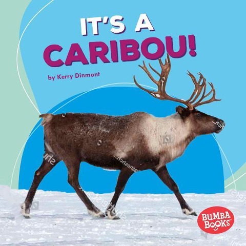 Its a Caribou!