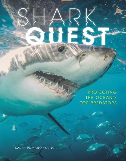 Shark Quest: Protecting the Oceans Top Predators