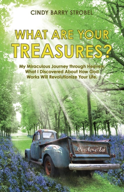 What Are Your Treasures?: My Miraculous Journey through Heaven: What I Discovered About How God Works Will Revolutionize Your Life.