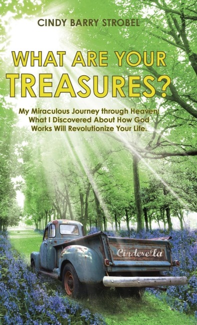What Are Your Treasures?: My Miraculous Journey through Heaven: What I Discovered About How God Works Will Revolutionize Your Life.