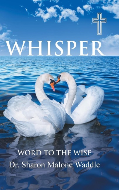 Whisper: Word to the Wise