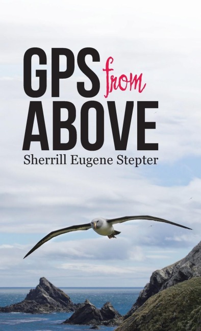 GPS from Above