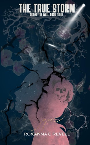 The True Storm Behind the Wall: Book Three