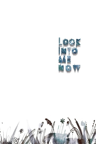 Look Into Me Now A Book of Abandoned Things