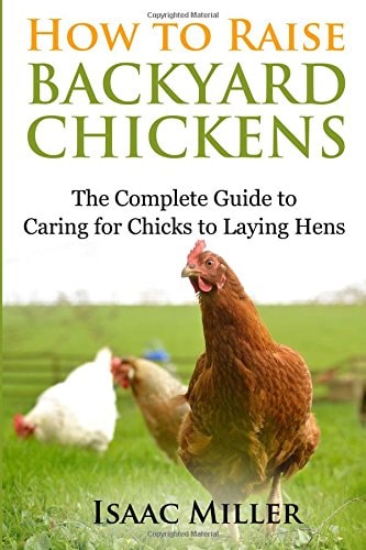 How to Raise Backyard Chickens The Complete Guide to Caring for Chicks to Laying Hens