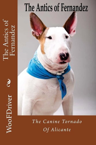 The Antics of Fernandeze The Canine Tornado of Alicante