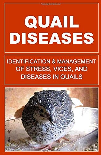 Quail Diseases Identification And Management of Stress, Vices, And Diseases In Quails