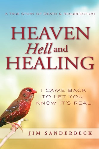 Heaven Hell and Healing I Came Back to Let You Know It's Real