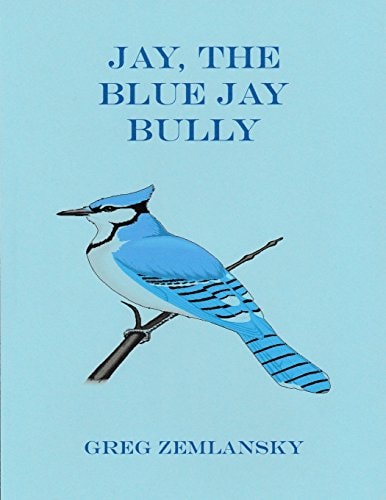 Jay, The Blue Jay Bully