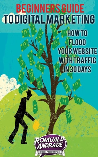 Beginners Guide to Digital Marketing How to Flood Your Website with Traffic in 30 Days