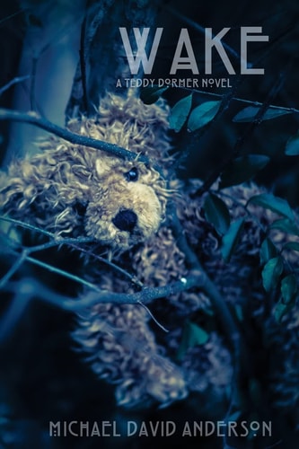 Wake A Teddy Dormer Novel