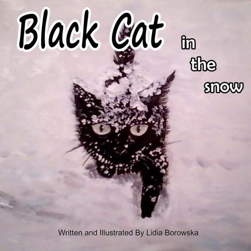 Black Cat in The Snow