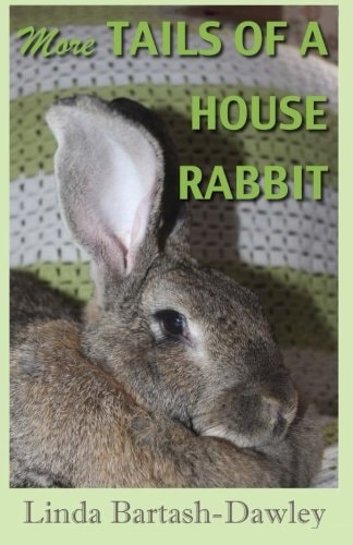 More Tails of a House Rabbit