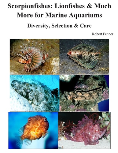 Scorpionfishes Lionfishes and Much More for Marine Aquariums Diversity, Selectio