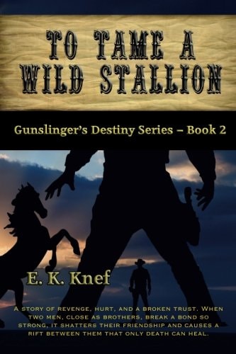 To Tame a Wild Stallion
