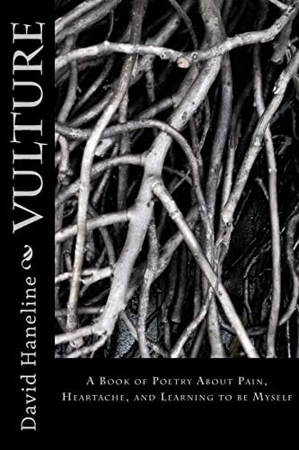 Vulture A Book of Poems about Pain, Heartache, and Learning to Be Myself