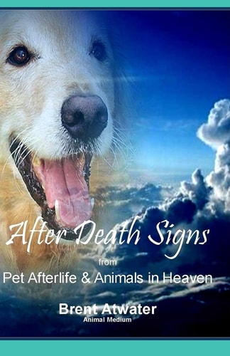 After Death Signs from Pet Afterlife and Animals in Heaven How to Ask for Signs and Visits and What It Means