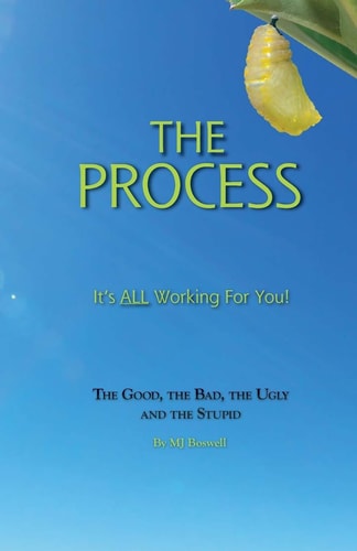 The Process It's All Working for You! the Good, the Bad, the Ugly and the Stupid