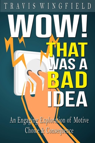 Wow! That Was a Bad Idea An Engaging Exploration of Motive, Choice, and Consequence