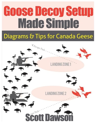 Goose Decoy Setup Made Simple Diagrams and Tips for Canadian Geese