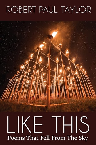 Like This Poems That Fell From The Sky