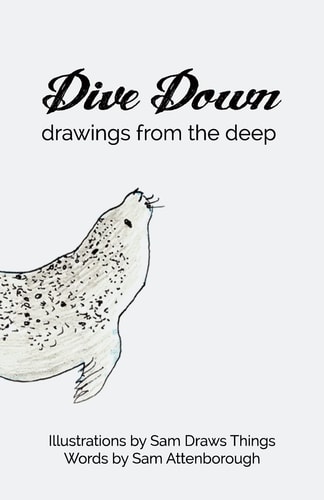 Dive Down Drawings from the Deep