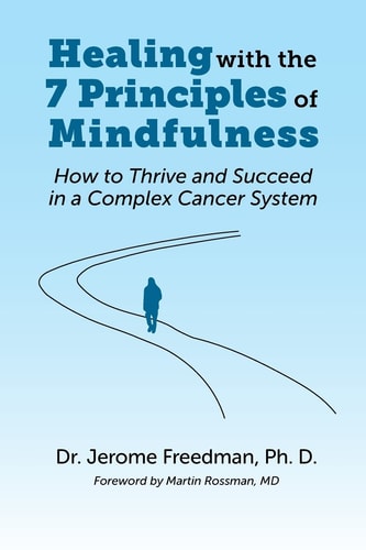 Healing with the Seven Principles of Mindfulness How to Thrive and Succeed in a Complex Medical Environment