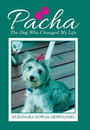 Pacha The Dog Who Changed My Life