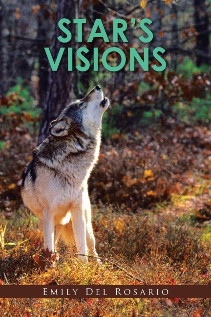 Stars Visions
