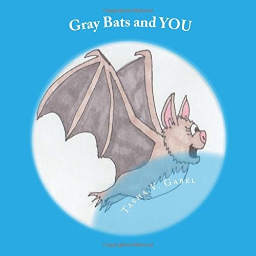 Gray Bats and YOU