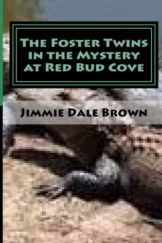 The Foster Twins in the Mystery at Redbud Cove The Mysterious Ring