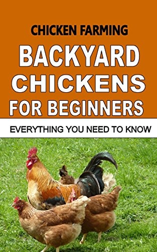 Chicken Farming Backyard Chickens For Beginners: Everything You Need To Know