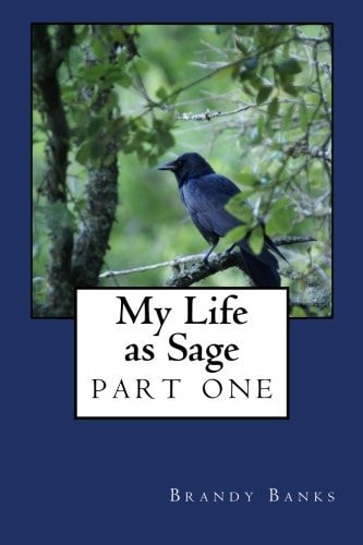 My Life As Sage Part One