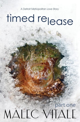 Timed Release A Detroit Metropolitan Love Story