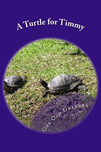 A Turtle for Timmy