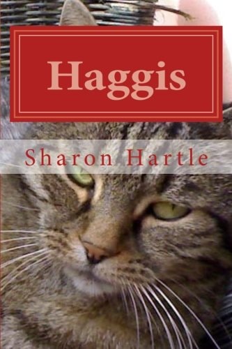 Haggis An Unusual Name for a Cat
