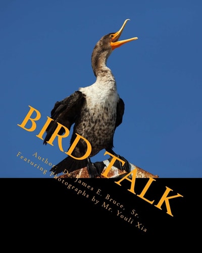 Bird Talk Featuring Photographs of Birds from International Nature Photographer, Mr. Youli Xia