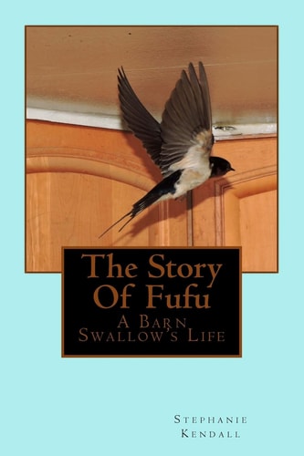 The Story Of Fufu A Barn Swallow's Life