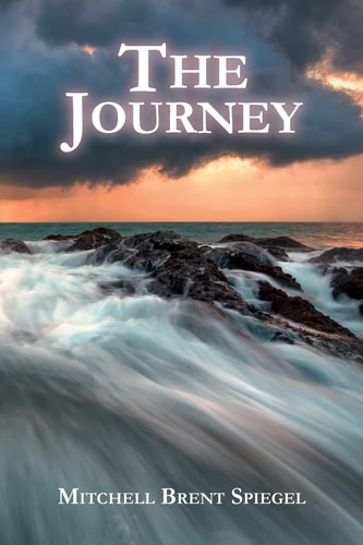 The Journey A Family's Firsthand ALS Account