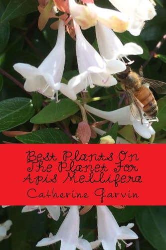 Best Plants On The Planet For Apis Mellifera Best Plants On The Planet For Year-Round Honeybee Habitats
