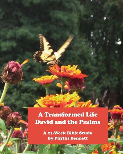 A Transformed Life David and the Psalms